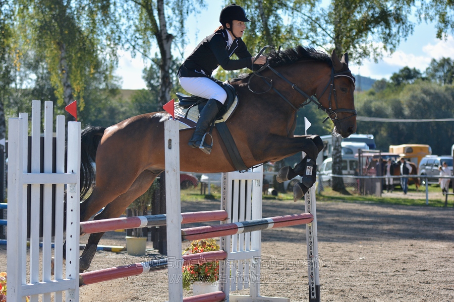 Skoková soutěž st. „Z“, ZPČJT – děti