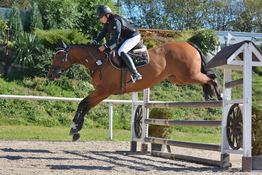 Skoková soutěž st. „Z“, ZPČJT – děti