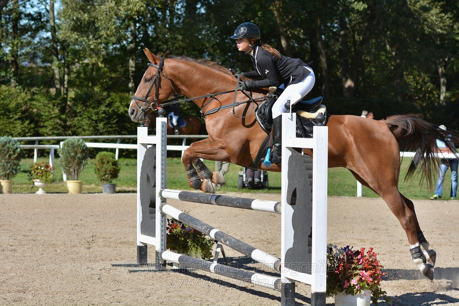 Skoková soutěž st. „Z“, ZPČJT – děti