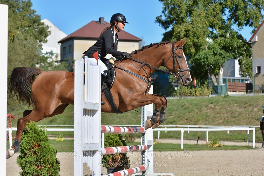 Skoková soutěž st. „Z“, ZPČJT – děti