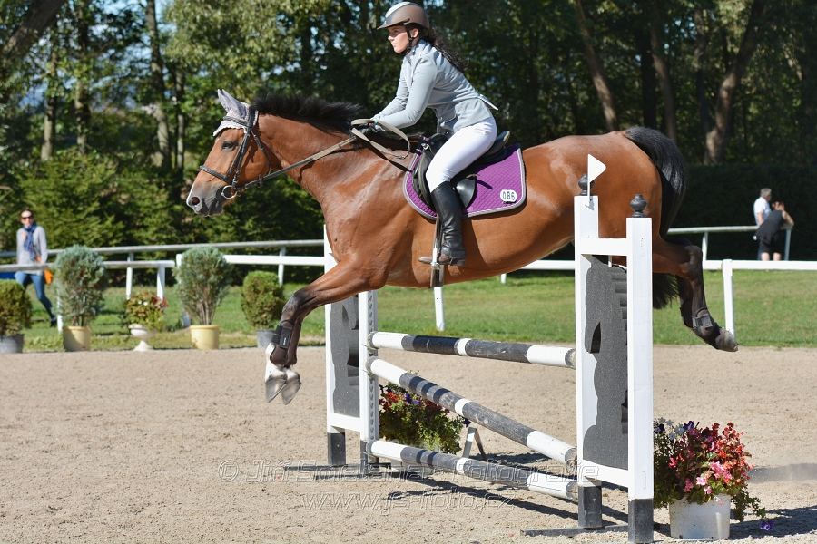 Skoková soutěž st. „Z“, ZPČJT – děti