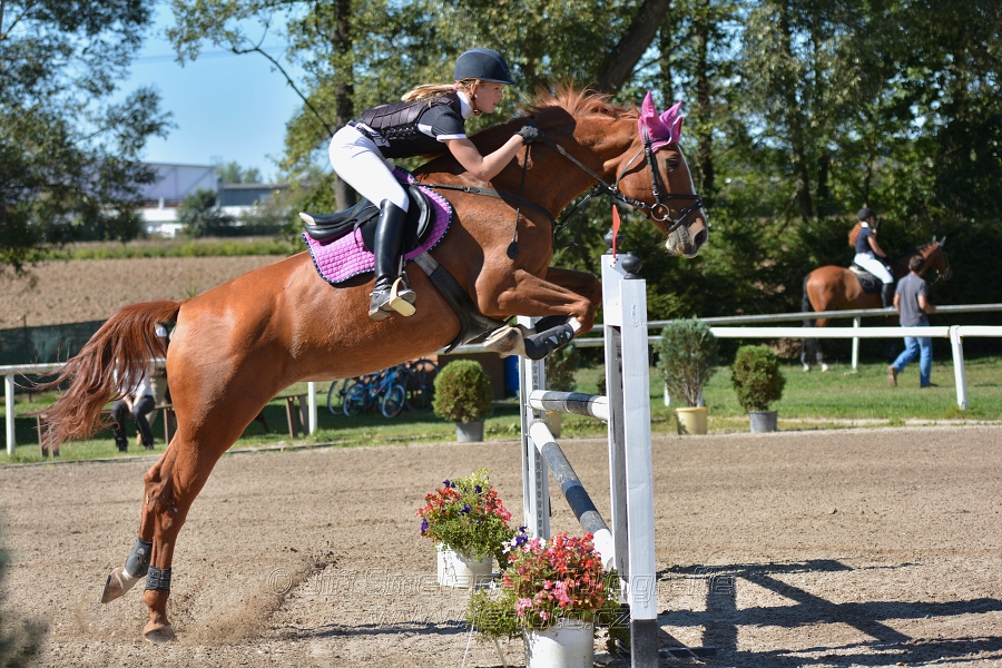 Skoková soutěž st. „ZL