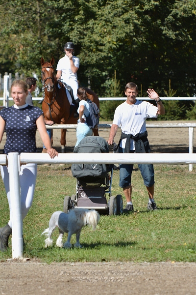 Skoková soutěž st. „ZL