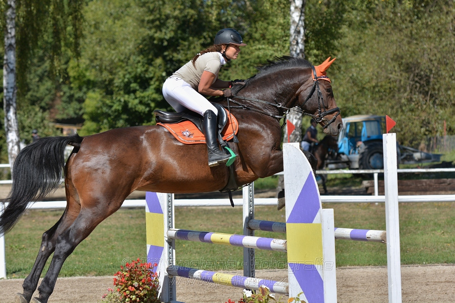 Skoková soutěž st. „ZL