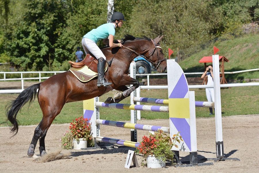 Skoková soutěž st. „ZL