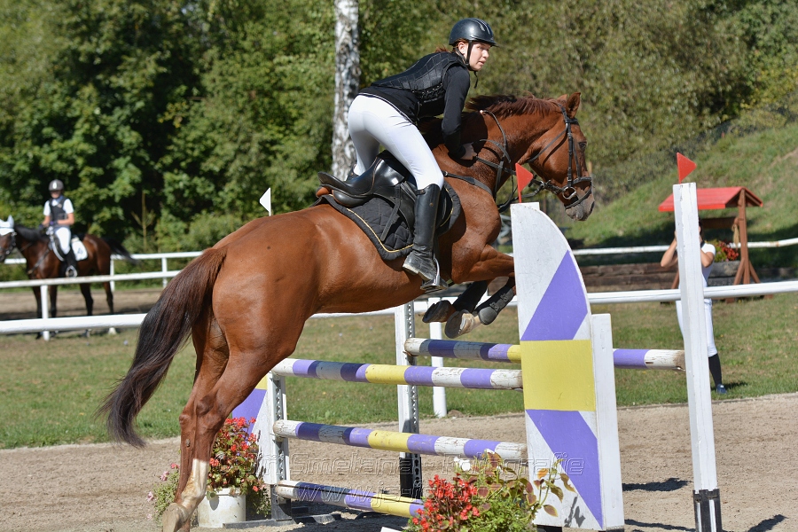 Skoková soutěž st. „ZL