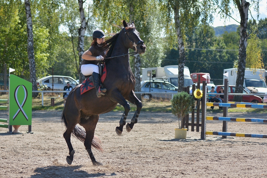 Skoková soutěž st. „ZL