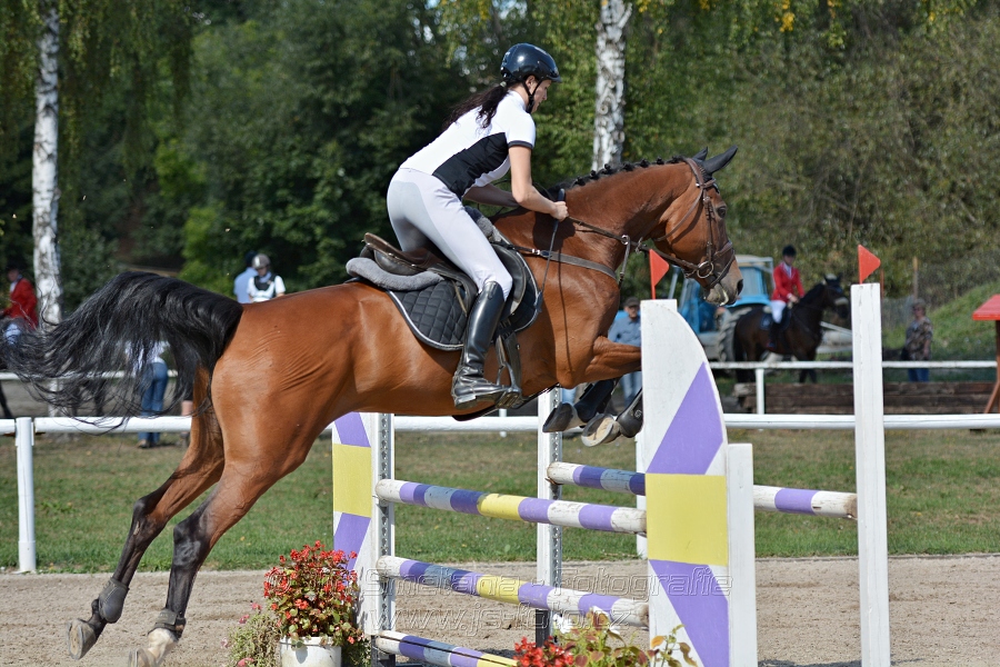 Skoková soutěž st. „ZL