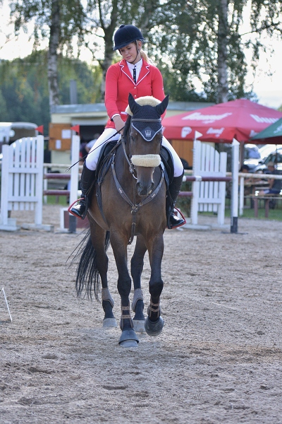 Skoková soutěž st. „ZL