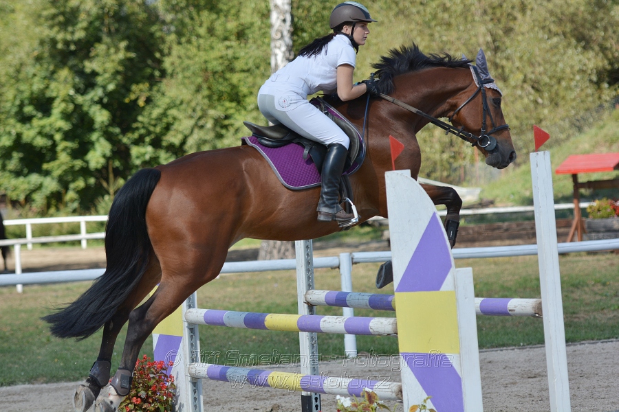 Skoková soutěž st. „ZL