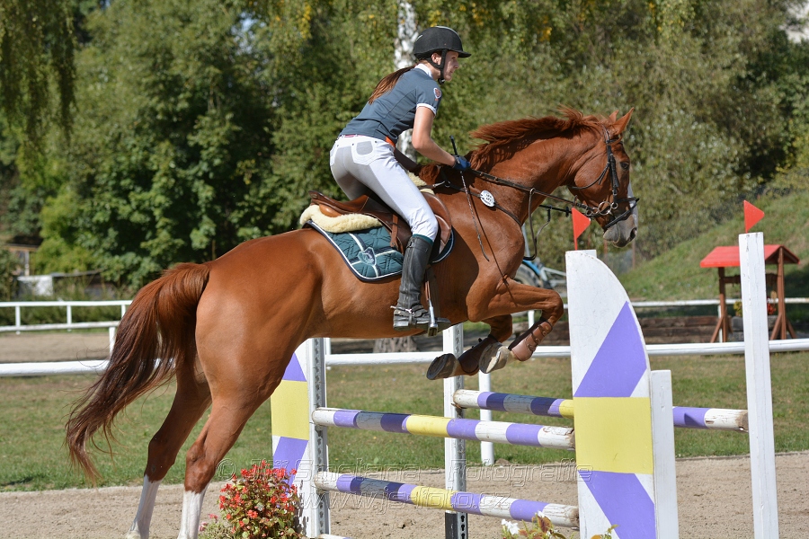 Skoková soutěž st. „ZL