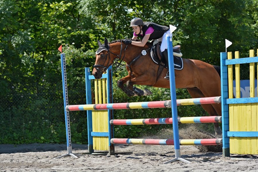 Skoková soutěž stupně 