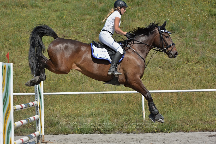 Skoková soutěž stupně 