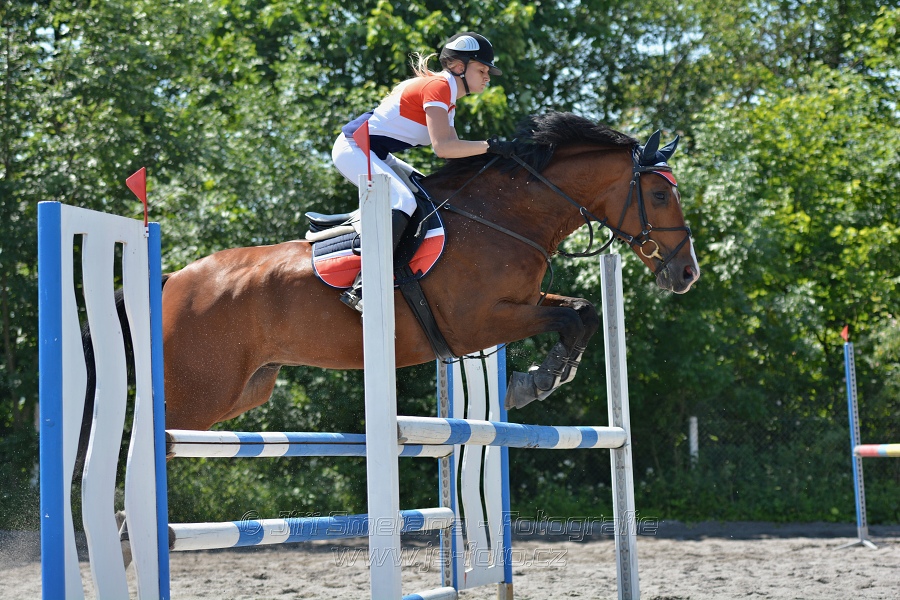 Skoková soutěž stupně 