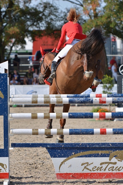 Jednokolová soutěž s finále - 145cm