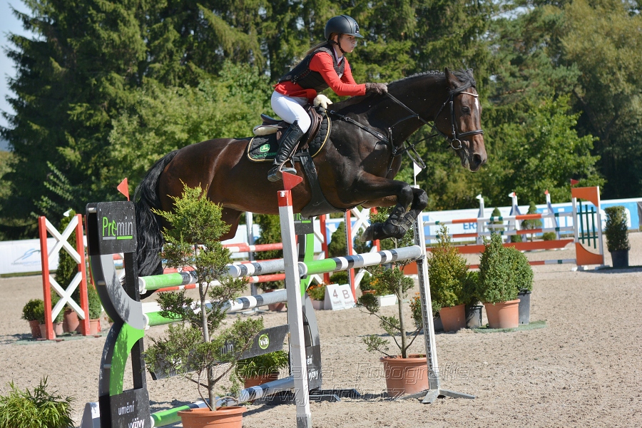 FINÁLE CZECH JUNIOR CUPu 2015 - 120/125 cm