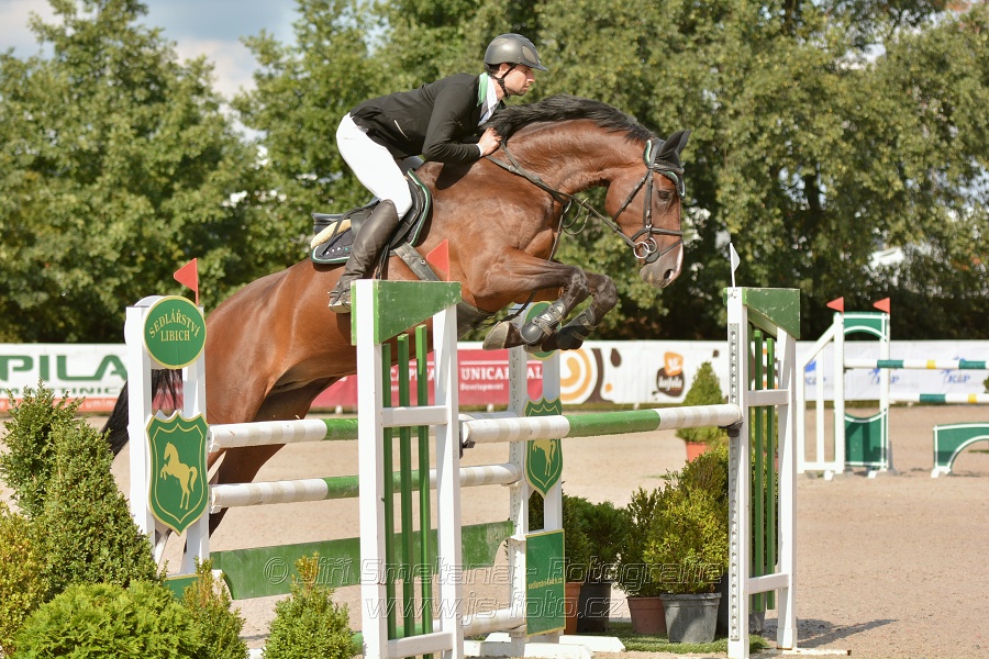 KAP Jumping, I. kolo - 130 cm