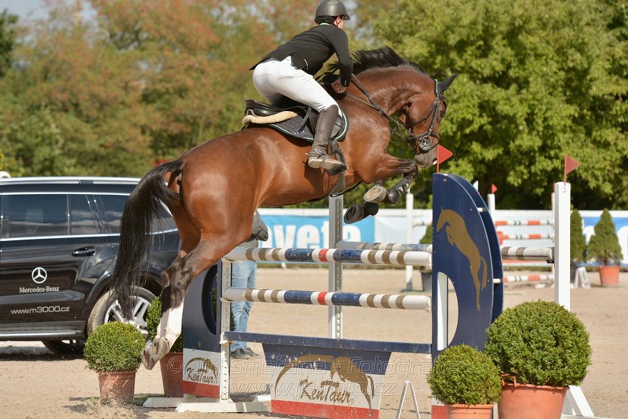 KAP Jumping, I. kolo - 130 cm