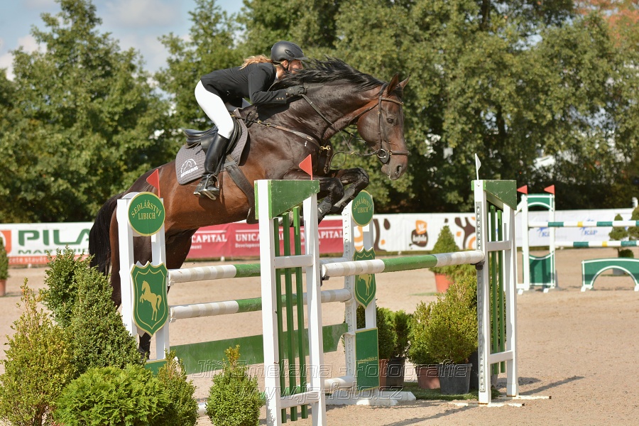 KAP Jumping, I. kolo - 130 cm