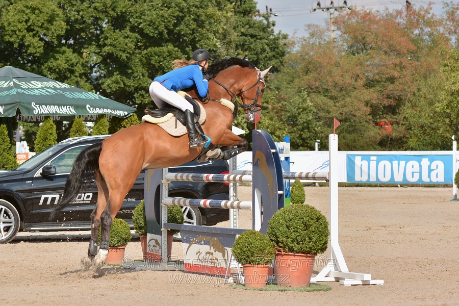 KAP Jumping, I. kolo - 130 cm