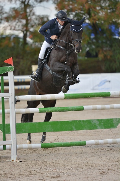 KAP Jumping, I. kolo - 130 cm