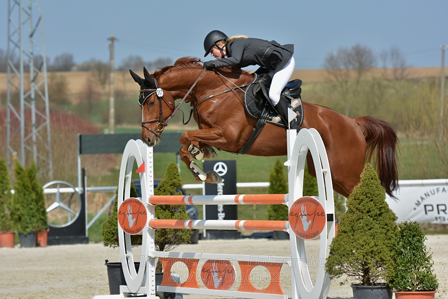 Skoková soutěž pro 5 a 6 leté koně s hendikepem 110/115 cm