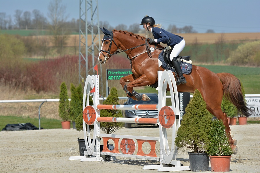 Skoková soutěž pro 5 a 6 leté koně s hendikepem 110/115 cm