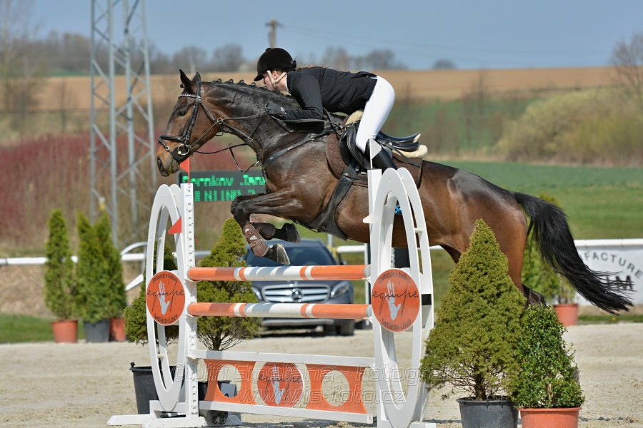 Skoková soutěž pro 5 a 6 leté koně s hendikepem 110/115 cm