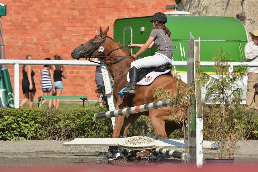 Finále Amateur Tour 2015