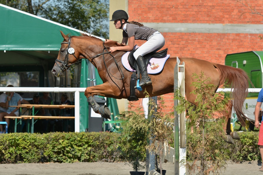 Finále Amateur Tour 2015