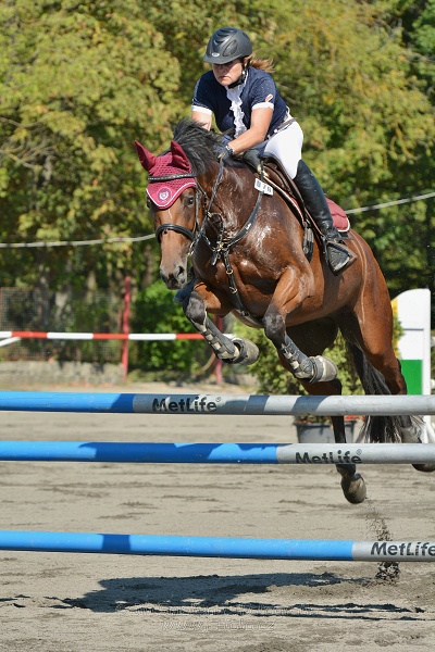 Finále Amateur Tour 2015