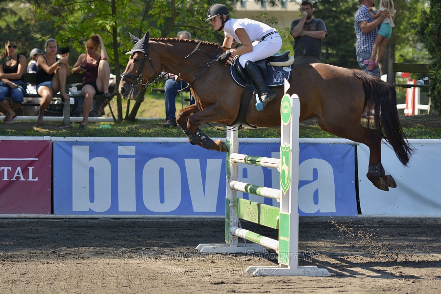 Finále Amateur Tour 2015