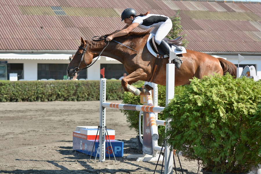 Finále Amateur Tour 2015