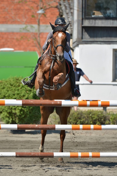 Finálové kolo CZECH JUNIOR CUP 2015