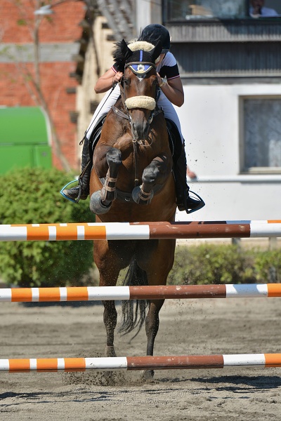 Finálové kolo CZECH JUNIOR CUP 2015