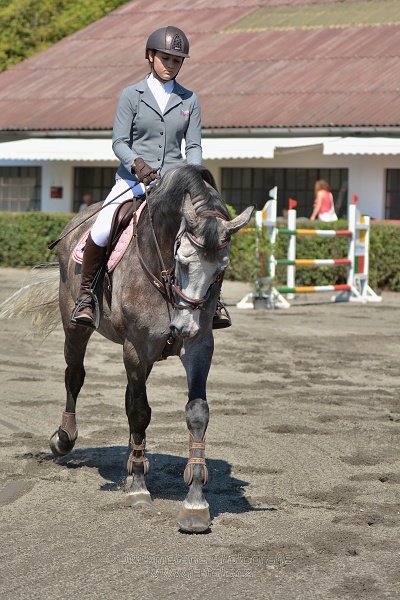 Finálové kolo CZECH JUNIOR CUP 2015