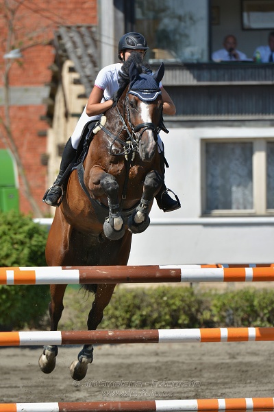 Finálové kolo CZECH JUNIOR CUP 2015