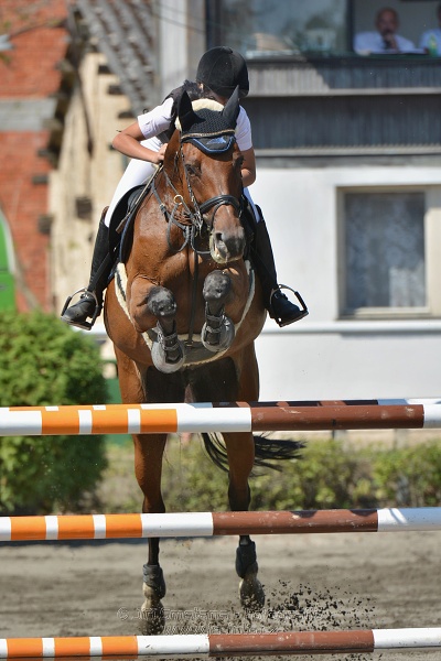 Finálové kolo CZECH JUNIOR CUP 2015