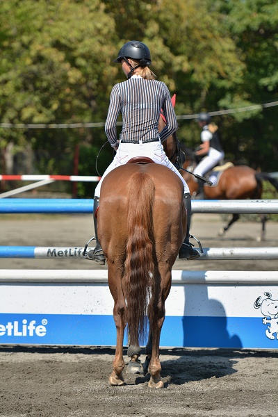 Finálové kolo CZECH JUNIOR CUP 2015