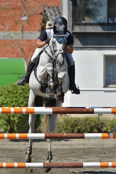 Finálové kolo CZECH JUNIOR CUP 2015