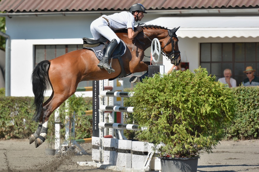 Velká cena města Plzně 2015 - ČSP 2015