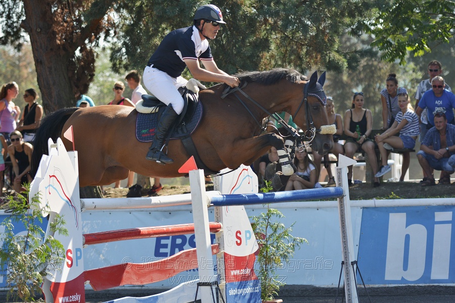 Velká cena města Plzně 2015 - ČSP 2015