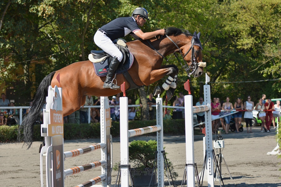 Velká cena města Plzně 2015 - ČSP 2015