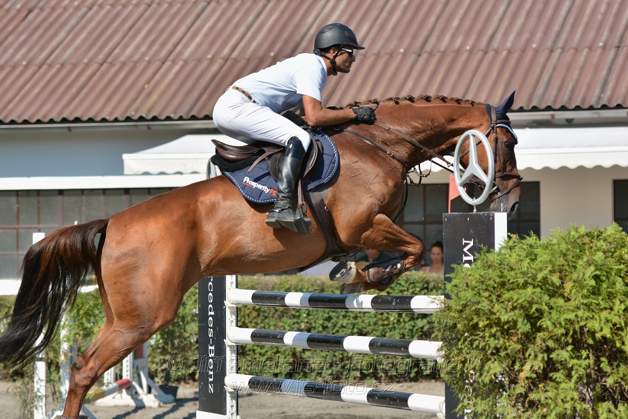 Velká cena města Plzně 2015 - ČSP 2015