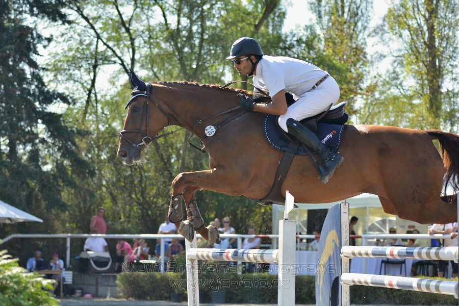 Velká cena města Plzně 2015 - ČSP 2015
