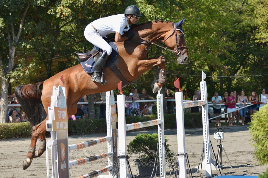 Velká cena města Plzně 2015 - ČSP 2015