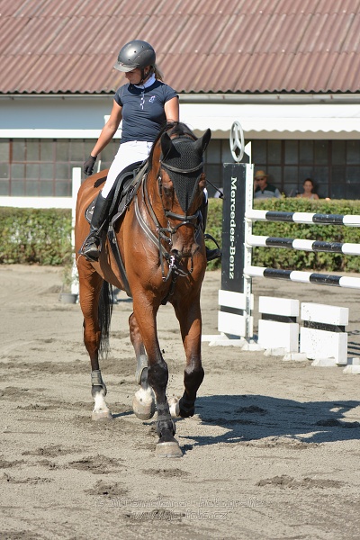 Velká cena města Plzně 2015 - ČSP 2015