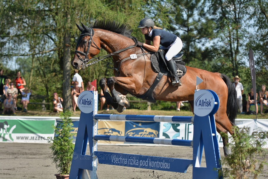 Velká cena města Plzně 2015 - ČSP 2015