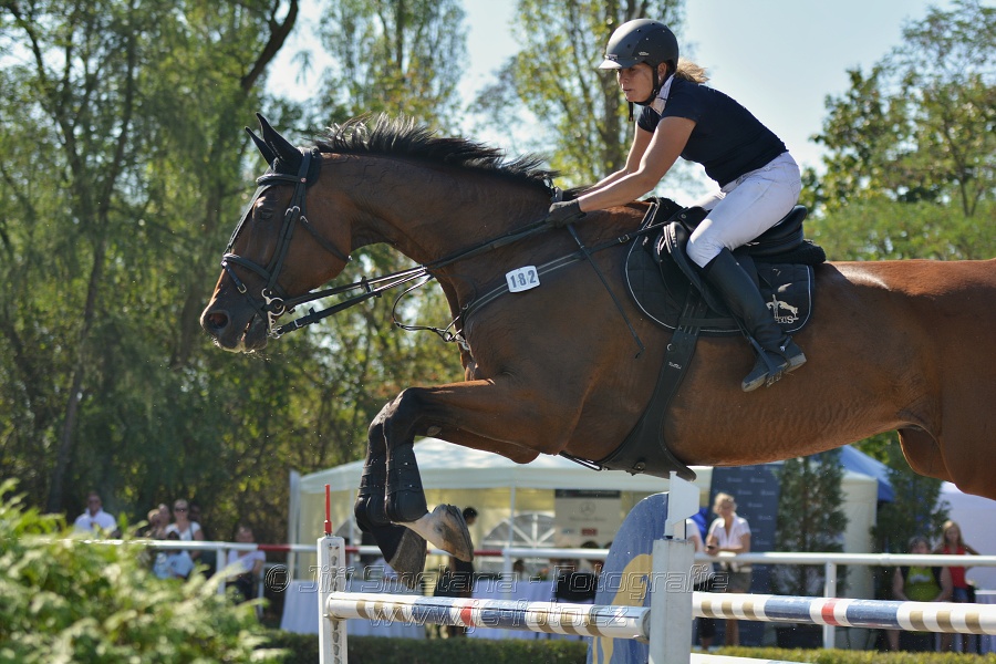 Velká cena města Plzně 2015 - ČSP 2015