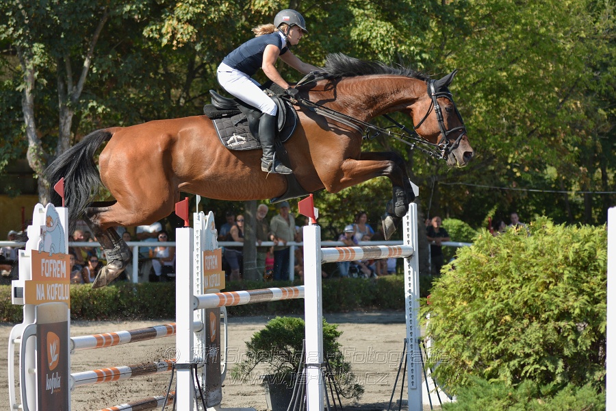 Velká cena města Plzně 2015 - ČSP 2015
